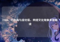 CSGO、付志海与金针菇，网络文化现象多维解读