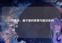 CF沙漠灰，箱子里的青春与跳法密码