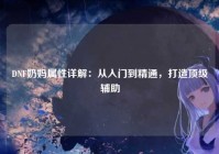 DNF奶妈属性详解：从入门到精通，打造顶级辅助