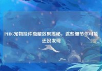 PUBG宠物挂件隐藏效果揭秘，这些细节你可能还没发现