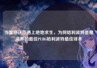 当霍格沃茨遇上绝地求生，为何哈利波特是魔法界的最佳PUBG哈利波特最佳译本