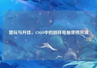 借玩与开挂，CSGO中的别样电脑使用风波