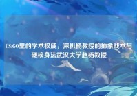 CS:GO里的学术权威，深扒杨教授的抽象战术与硬核身法武汉大学赵杨教授