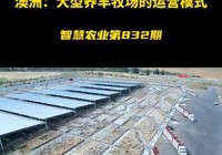 牧场养什么最赚钱