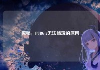 探秘，PUBG 2无法畅玩的原因