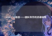 CSGO，CT语音——团队协作的灵魂纽带
