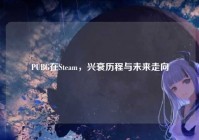 PUBG在Steam，兴衰历程与未来走向