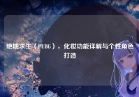 绝地求生（PUBG），化妆功能详解与个性角色打造