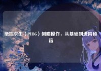 绝地求生（PUBG）侧瞄操作，从基础到进阶秘籍