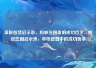 草根智慧启示录，蚂蚁庄园里的成功哲学，蚂蚁庄园启示录，草根智慧中的成功哲学