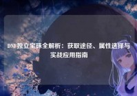 DNF独立宝珠全解析：获取途径、属性选择与实战应用指南