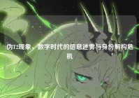 伪T2现象，数字时代的信息迷雾与身份解构危机