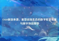 CSGO新货来袭，重塑战场生态的数字军备竞赛与新手饰品推荐