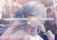DNF奇缘辅助深度解析：功能、安全与使用指南