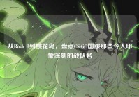 从Rush B到桃花岛，盘点CS:GO国服那些令人印象深刻的战队名