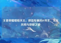 王者荣耀嘻哈天王，微信专属的IP共生、文化共鸣与获取之道