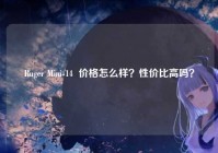 Ruger Mini-14  价格怎么样？性价比高吗？