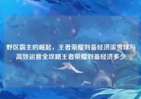 野区霸主的崛起，王者荣耀刘备经济滚雪球与高效运营全攻略王者荣耀刘备经济多少