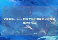 全面解析，Steam 的放大与拓展策略及游戏屏幕放大方法