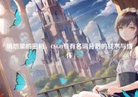 硝烟里的密码，CSGO专有名词背后的战术与情怀