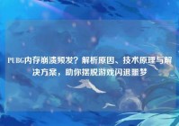 PUBG内存崩溃频发？解析原因、技术原理与解决方案，助你摆脱游戏闪退噩梦