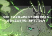 别急！王者荣耀iOS更新不了问题深度解析与修复方案王者荣耀ios更新不了怎么办