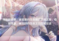寻找护命匣，被遮蔽的生命原力觉醒之旅，暗匣寻源，被封印的生命之力觉醒征途