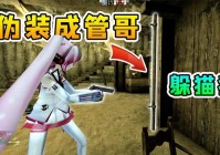 美女躲猫猫怎么玩？高分秘籍一看就会！