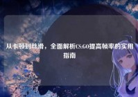 从卡顿到丝滑，全面解析CS:GO提高帧率的实用指南