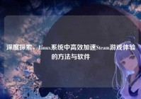 深度探索，Linux系统中高效加速Steam游戏体验的方法与软件