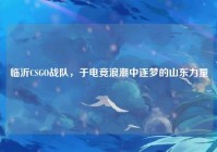 临沂CSGO战队，于电竞浪潮中逐梦的山东力量