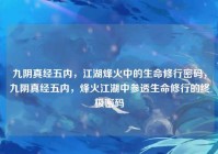 九阴真经五内，江湖烽火中的生命修行密码，九阴真经五内，烽火江湖中参透生命修行的终极密码