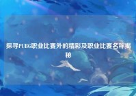 探寻PUBG职业比赛外的精彩及职业比赛名称揭秘