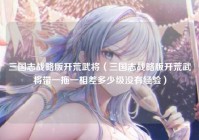 三国志战略版开荒武将（三国志战略版开荒武将带一拖一相差多少级没有经验）
