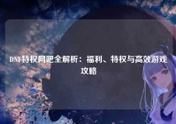 DNF特权网吧全解析：福利、特权与高效游戏攻略