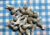 第切草怎么用效果好？老中医告诉你正确用法！