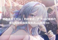 绝地求生（PUBG）的甜蜜点，为何1080P画质仍是吃鸡玩家的竞技首选pubg画质2020