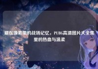藏在像素里的战场记忆，PUBG高清图片大全集里的热血与温柔