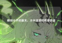 棒球小子的夏天，汗水浇灌的青春勋章