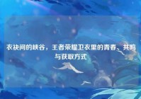 衣袂间的峡谷，王者荣耀卫衣里的青春、共鸣与获取方式