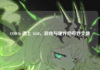 COD16 遇上 1650，游戏与硬件的奇妙交融