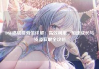 DNF燃烧疲劳值详解：高效利用，加速成长与资源获取全攻略