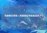 鸣潮索拉等级（鸣潮索拉等级最高多少）