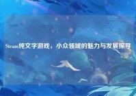 Steam纯文字游戏，小众领域的魅力与发展探寻