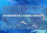 和平精英中带兄弟上分的领路人被称为什么