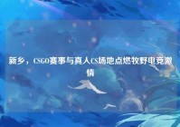 新乡，CSGO赛事与真人CS场地点燃牧野电竞激情