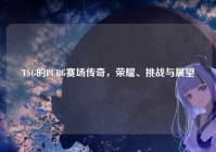 TSG的PUBG赛场传奇，荣耀、挑战与展望
