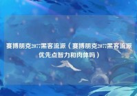 赛博朋克2077黑客流派（赛博朋克2077黑客流派优先点智力和肉体吗）