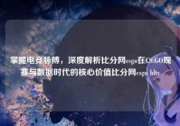 掌握电竞脉搏，深度解析比分网csgo在CS:GO观赛与数据时代的核心价值比分网csgo hltv