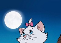猫版超级玛丽第一关